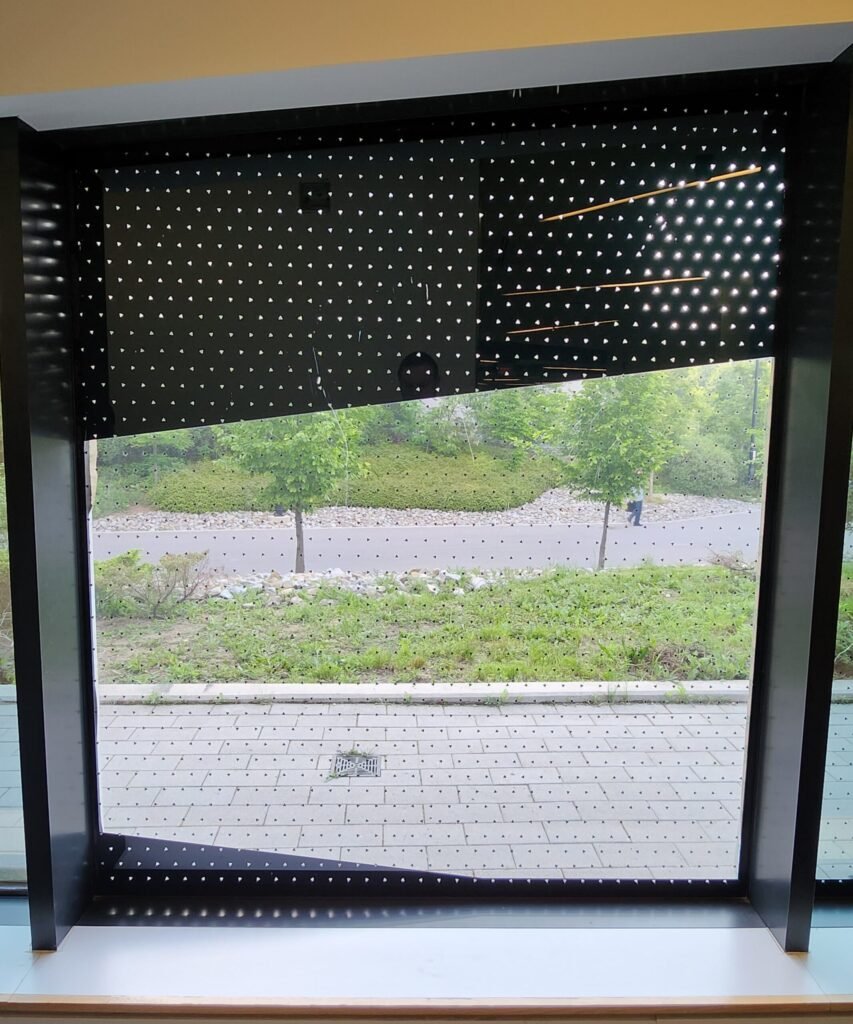 Understanding the Problem of Bird Collisions